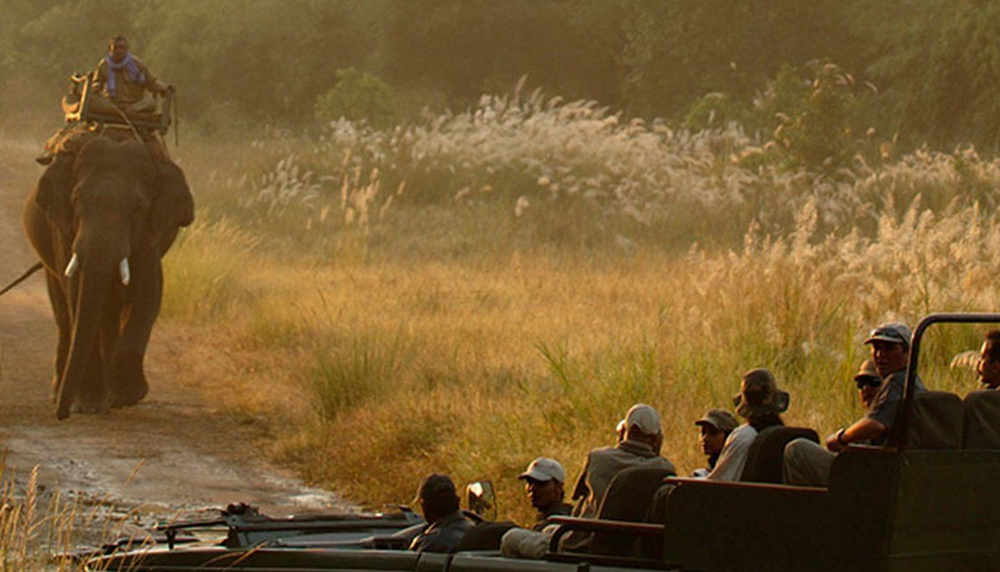 Elephant Within Me: a mahout rides an elephant down a track towards a safari jeep in evening light