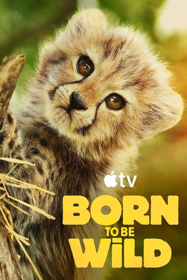 Born to Be Wild artwork