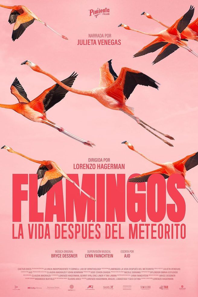 Flamingos – Life After the Meteorite artwork