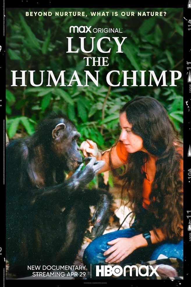 Lucy the Human Chimp artwork
