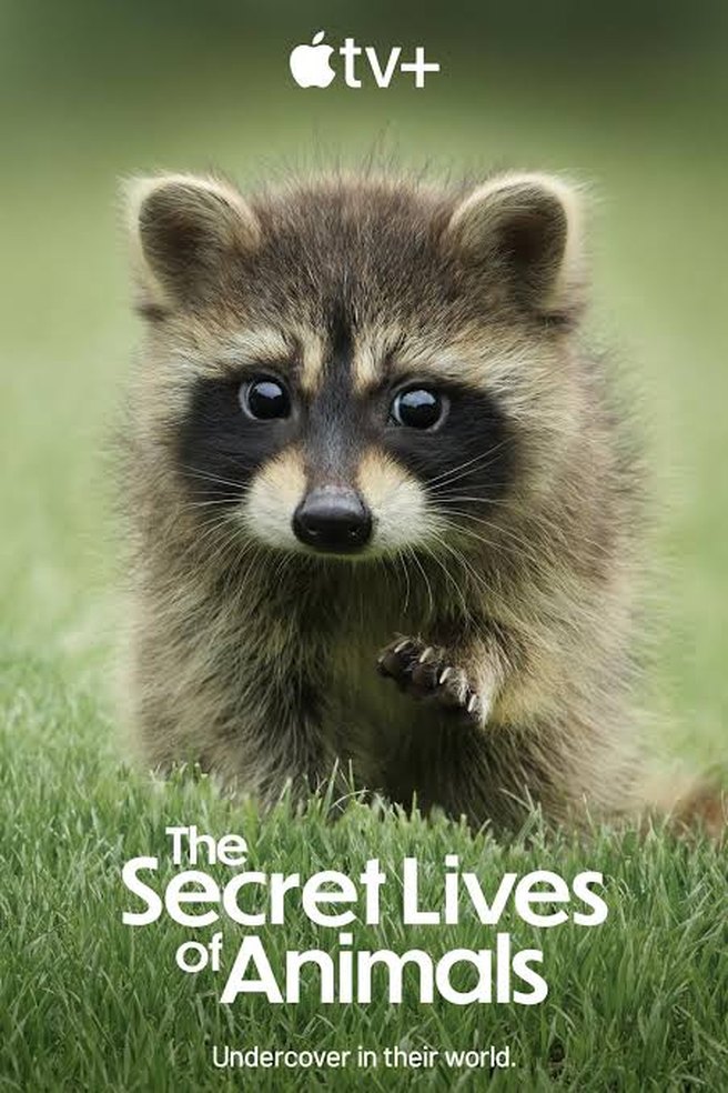 The Secret Lives of Animals artwork