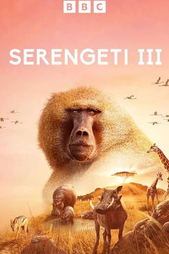 Serengeti, Series 4 artwork