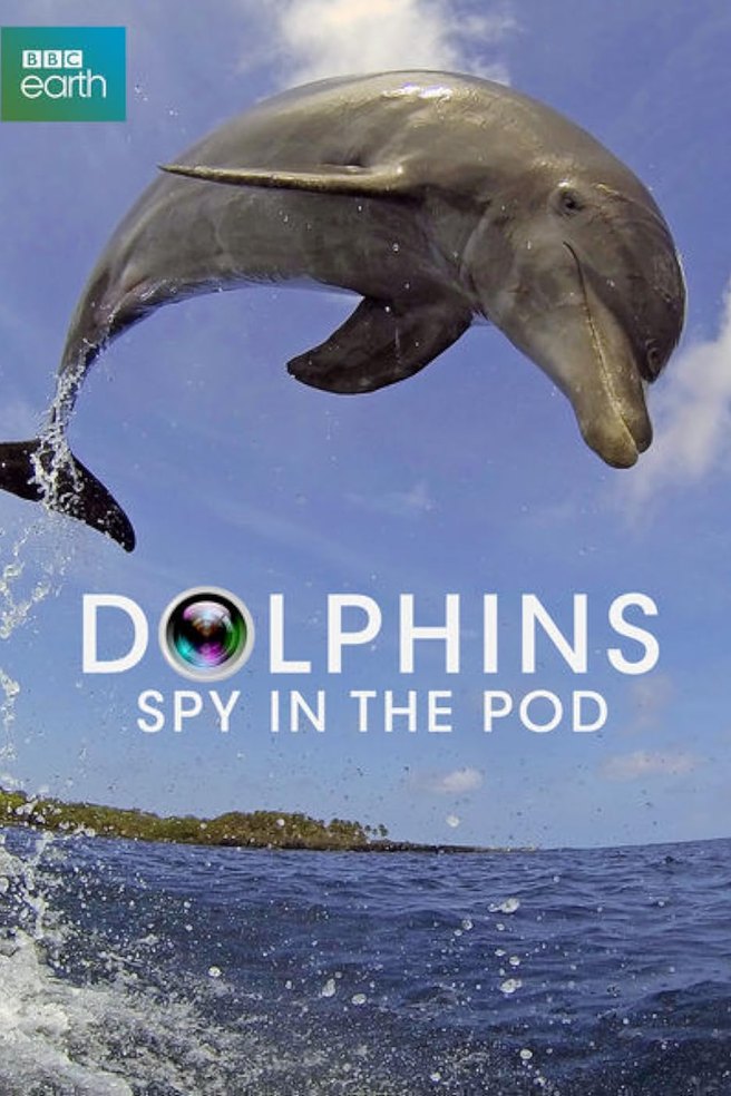 Spy in the Pod artwork