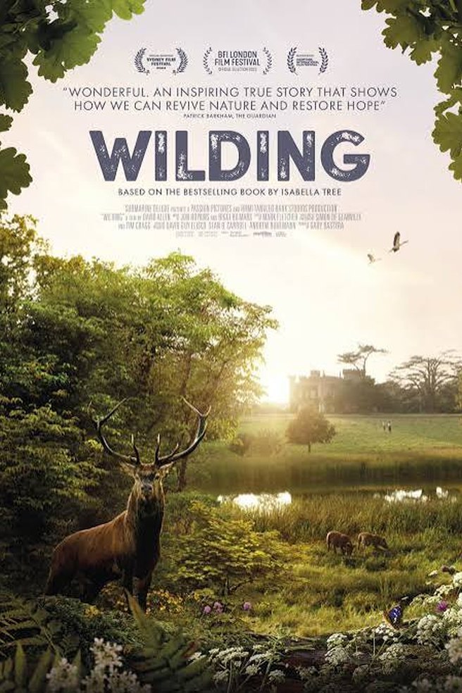 Wilding artwork